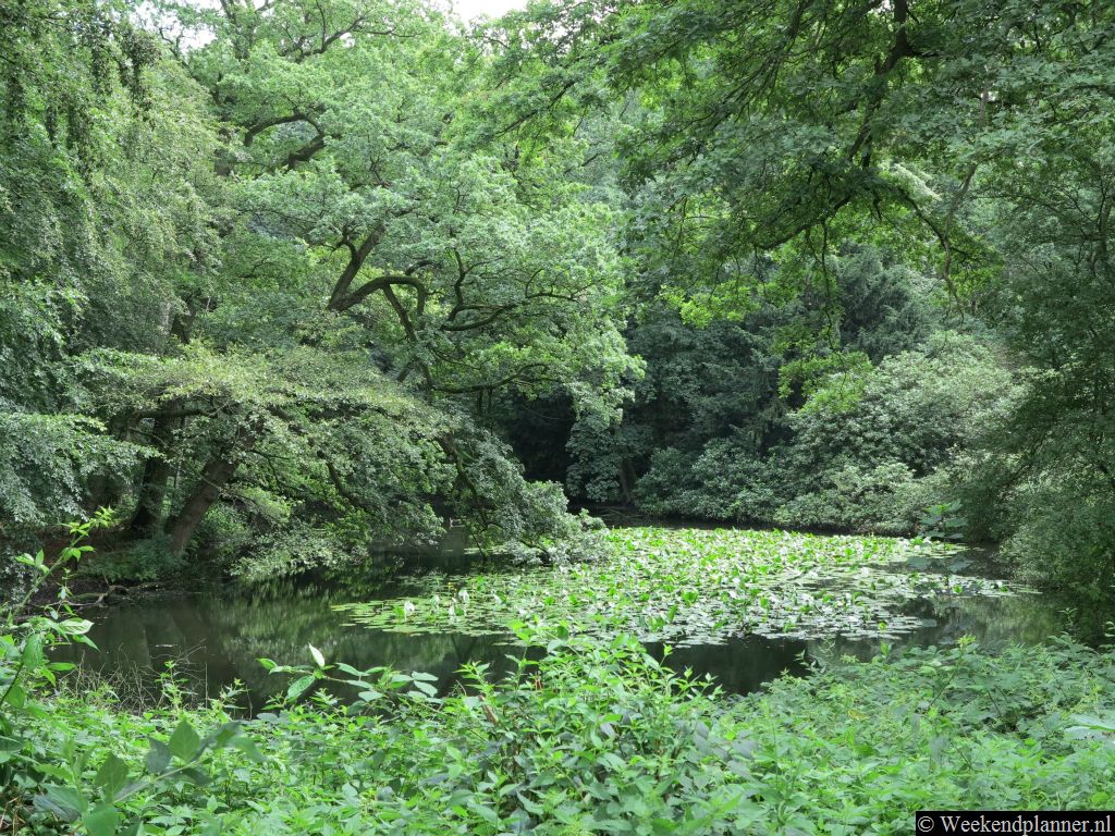 Vlakbij het kasteel ligt dit mooie ven met waterlelies. Tip: Ga eens schetsen of tekenen.
